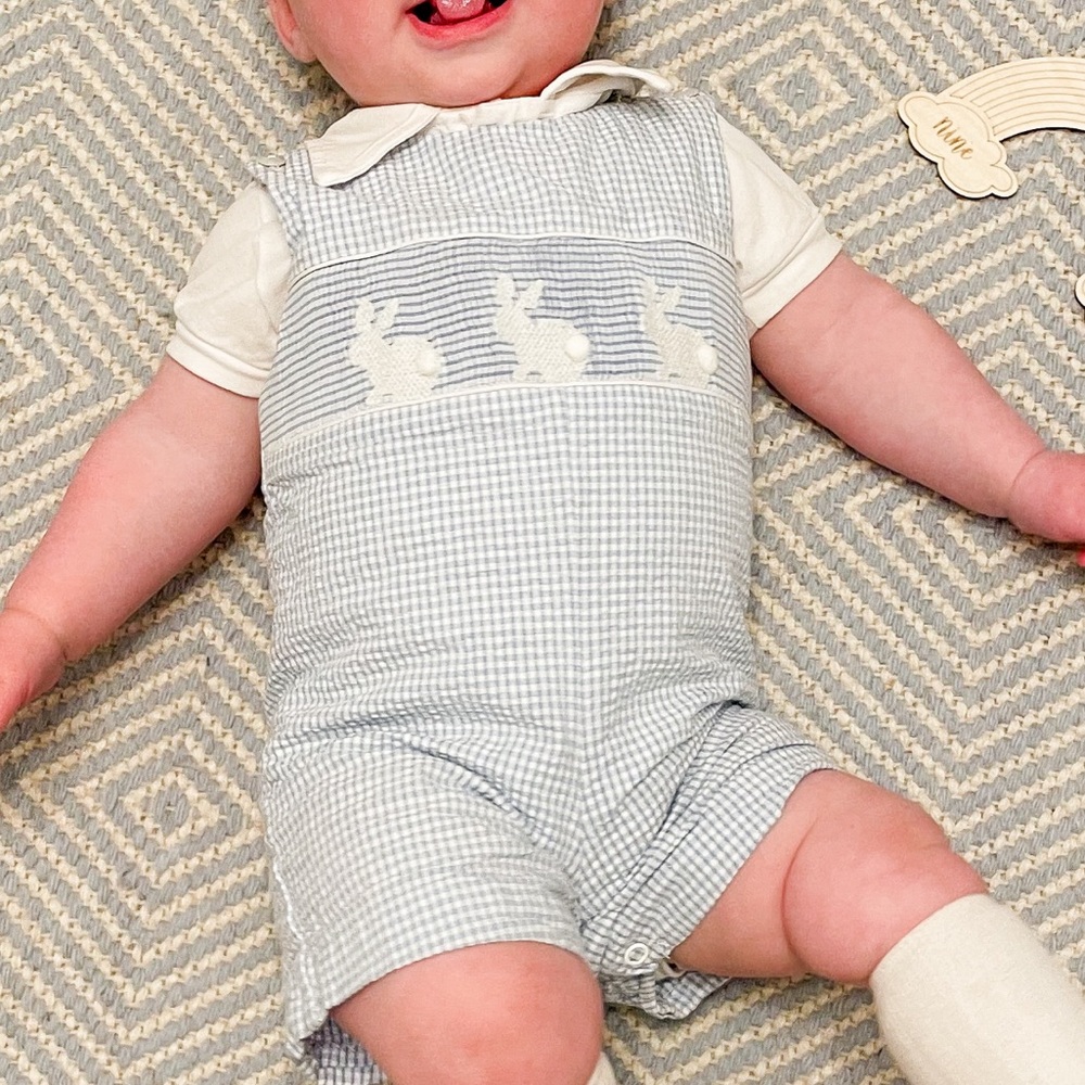 EUC Southern Sunshine Light Blue Seersucker Smocked Bunny Shortall